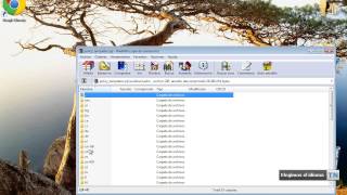 Instalar directivas de grupo de Google Chrome en Windows [upl. by Adneral541]