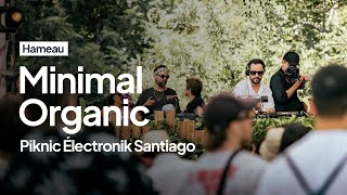 Minimal Organic at Piknic Électronik Santiago by Hameau  Nhii Fedele Cassian DJ Set 02 [upl. by Bywaters]