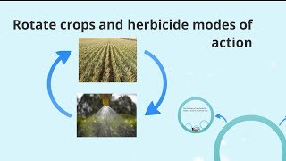 Rotate Crops and Herbicide MOA [upl. by Trimble16]