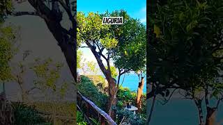 The Most Beautiful Places to Visit in Liguria Italy  Portofino  Scenic Walk [upl. by Uriiah395]