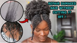 HOW TO REPAIR DAMAGED HAIR AT HOME without cutting it off [upl. by Lise]