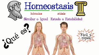 🚹 ¿Qué es la Homeostasis ✅ Fácil y Rápido  BIOLOGÍA [upl. by Phipps]