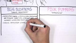 COPD  Overview and Pathophysiology PART I [upl. by Naneek]