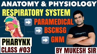 PHARYNX NasopharynxOropharynx amp Laryngopharynx II RESPIRATORY SYSTEM II CLASS 03 II ANATOMY [upl. by Luckett]