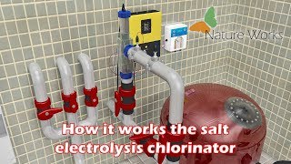 How it works the salt electrolysis chlorinator [upl. by Elrebmik858]