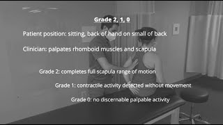 Manual Muscle Test for Rhomboids AdductionDownward Rotation of Scapula [upl. by Raual]