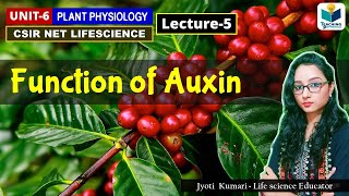 FUNCTIONS OF AUXIN  PHYTOHORMONE PART5 CSIR NET PLANT BIOLOGY [upl. by Shari]