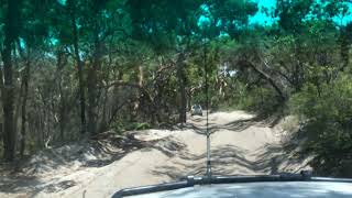 Driving The Inland Track From The Champagne Pools To Orchid Beach Fraser Island  All About Fraser [upl. by Rosenberg]