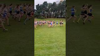 Lindsays Short Course XC U15 Girls Race Start [upl. by Hcirdla]