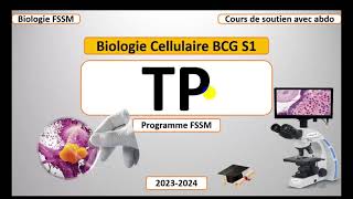 Biologie Cellulaire BCG S1  Partie Travaux Pratique TP FSSM [upl. by Barabbas]