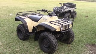 1999 Honda Fourtrax TRX300FW  Walk Around and Review [upl. by Davenport921]