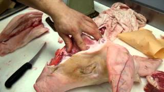 Butchering a Pigs Head [upl. by Bilski]