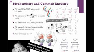 Cladistics IB Biology [upl. by Trab]