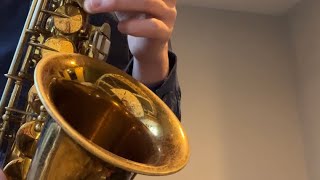 Amazing Grace  On Alto Saxophone by Jase Beekhuizen [upl. by Esilehs]