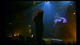 DrDre amp Snoop Doggy DoggIn Memory Of 2Pac live concert [upl. by Ardnos]