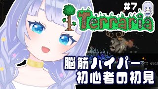 【テラリア初見プレイ】肉壁？ハードモード？こわ… やさしくしろ😠 7【Vtuber】 [upl. by Enilada]