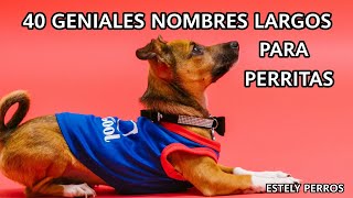 NOMBRES LARGOS PARA PERRAS [upl. by Carman917]