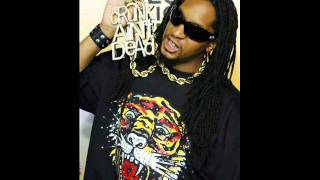 Lil Jon feat Lil Wayne  Pull Up [upl. by Eldoree334]