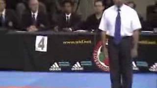 WKF Karate 2004 George Kotaka vs Amozadeh Mexico [upl. by Adnylem]