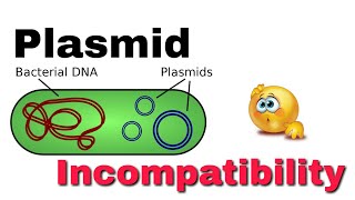 Plasmid incompatibility [upl. by Lorie436]