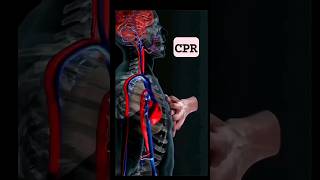 Quick Guide to CPR in 19 Seconds 💓  LifeSaving Basics CPR FirstAidSaveALife emergencyresponse [upl. by Ralyks]