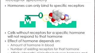 Endocrine part 2 how do they travel and hydrophobic vs hydrophilic hormones [upl. by Owiat206]