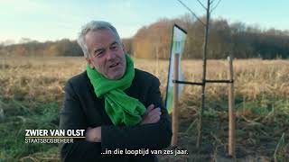 Heijmans plant jaarlijks 4 hectare nieuw bos in Nederland [upl. by Aihsot261]