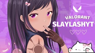 Road To Plat Day 02 VALORANT INDIA LIVE🔴 Girl Gamer Bandhilki❤️ [upl. by Coy]