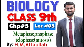 Metaphase anaphase and telophase  Smart syllabus  Chapter 5  9th class Biology  ALP  Lec 5 [upl. by Adriaens]