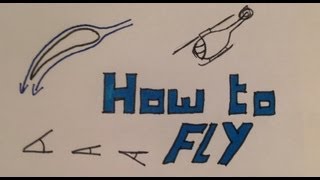 Understanding Flight in 3 minutes [upl. by Sarilda]