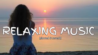 Relaxing music Lyrics  New song 2024 New English song  Best song english [upl. by Rist672]