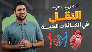 النقل في النبات 🌿 أحياء تانية ثانوي الترم الأول ♥️ [upl. by Ahsitak]