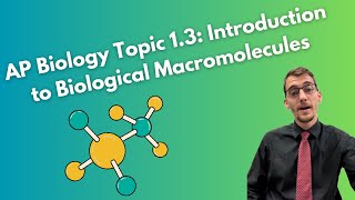 13 Introduction to Biological Macromolecules  AP Biology [upl. by Anivla]