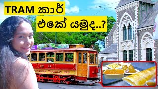 New Zealand Tram Car  සිංහල vlog  Sinhala vlog  Christchurch [upl. by Partan362]