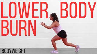 Lower Body Workout for Women No Equipment  MUSCLE BURN [upl. by Alyos]