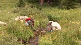 Natural Resource Management Internships  Colorado Mountain College [upl. by Waneta]