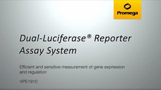 DualLuciferase® Reporter Assay System [upl. by Mrots]