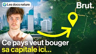 Une capitale futuriste géante… en pleine forêt [upl. by Gamal]