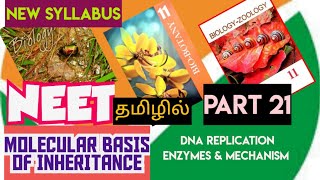 class 12 biomolecular basis of inheritance  replication tamil part 21 machinary and enzymes [upl. by Airetnuhs]