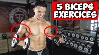 Des bras plus gros en 30jours  5 exercices biceps [upl. by Aitital]