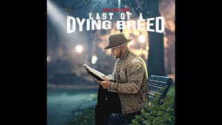 Last Of A Dying Breed  David Robledo  Soul Muzik [upl. by Okkin]