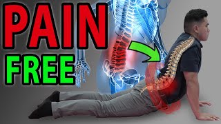 6 Absolute Best Exercises for Low Back Pain  SIJ  Facet Syndrome Mobilisation  Lumbar Pain [upl. by Ramraj425]