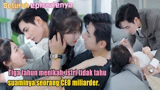 Tiga tahun menikah istri tidak tahu suaminya seorang CEO miliarder [upl. by Cody]