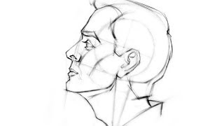 How to Draw the Head from Extreme Angles [upl. by Particia]