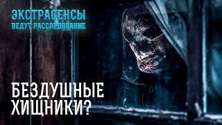 Не для слабонервных самые ужасающие душегубства – Экстрасенсы ведут расследование [upl. by Axe]