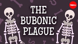 The past present and future of the bubonic plague  Sharon N DeWitte [upl. by Tlihcox]