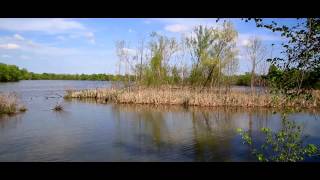 Oxley Nature Center [upl. by Sperry114]