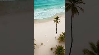 La definición de PARAÍSO 🏝️😍🇻🇪 Venezuela caribe destinos playas choroni travel playa turismo [upl. by Aridni]