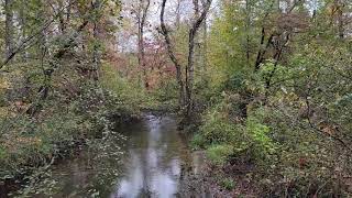 Cades Cove Fall Hike Part Two 10 17 23 [upl. by Dremann]