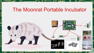 Inventors Gathering Moonrat Portable Incubator Presentation [upl. by Rehptosirhc]